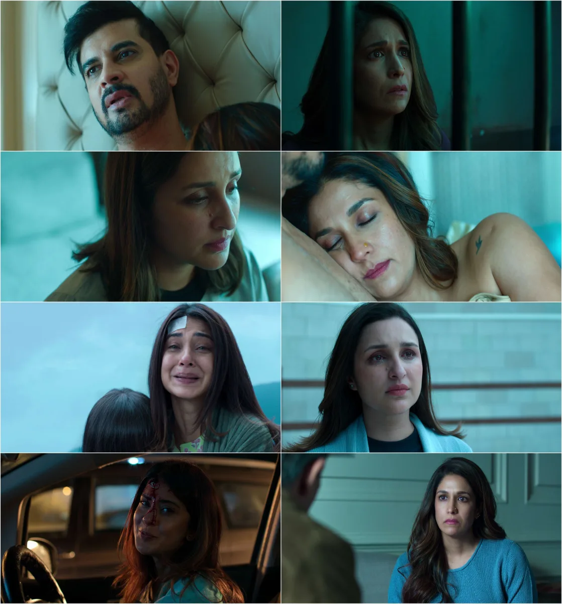Shaque - Trust No One S01 (2026) Hindi Completed Web Series HEVC ESub screenshot